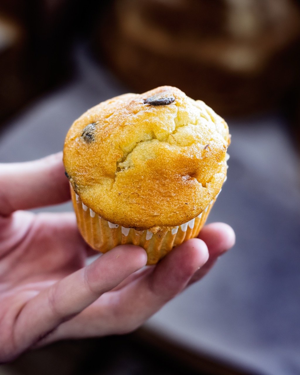 A hand holding a fresh cupcake.